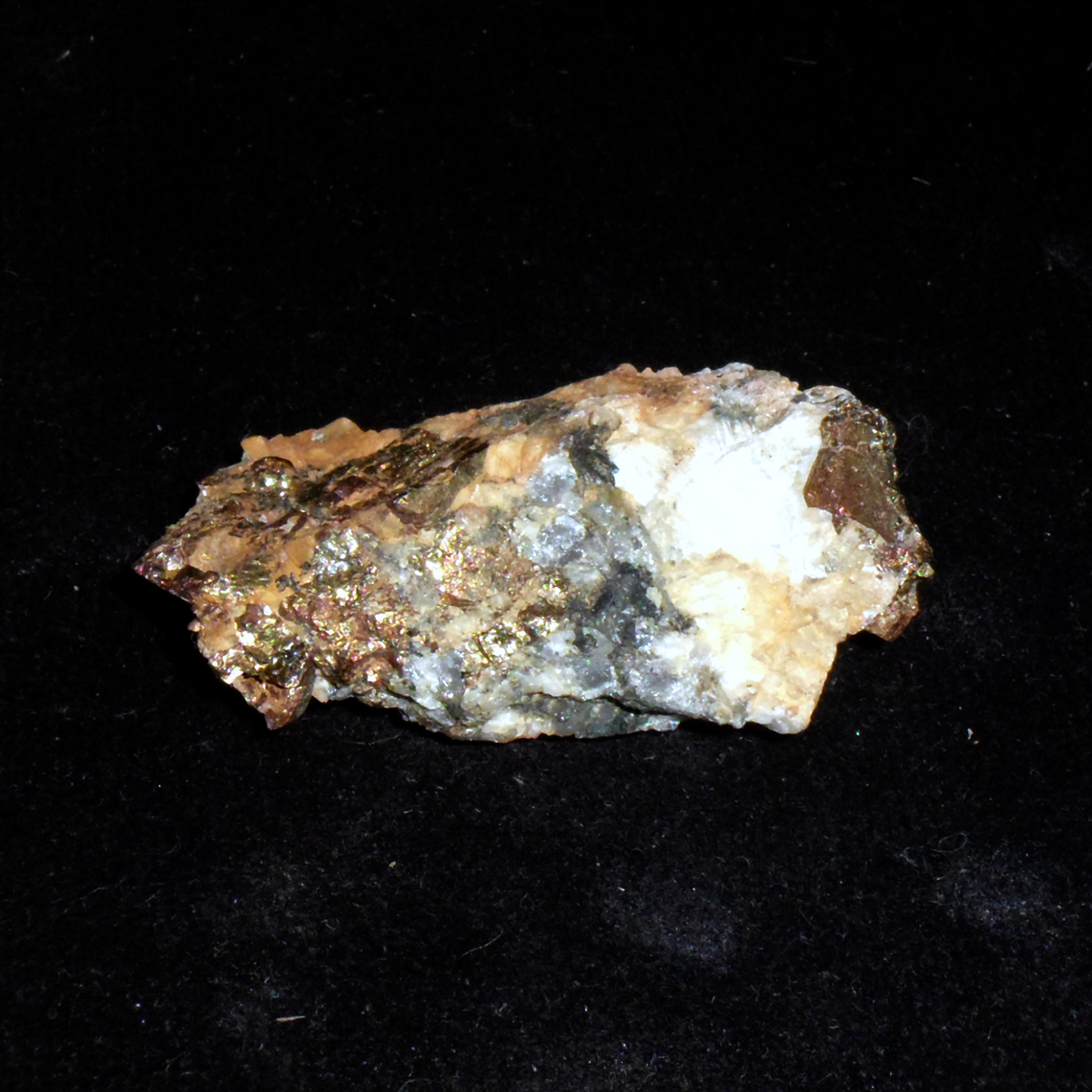 Chalcopyrite-Marmora-MPB-B002.JPG