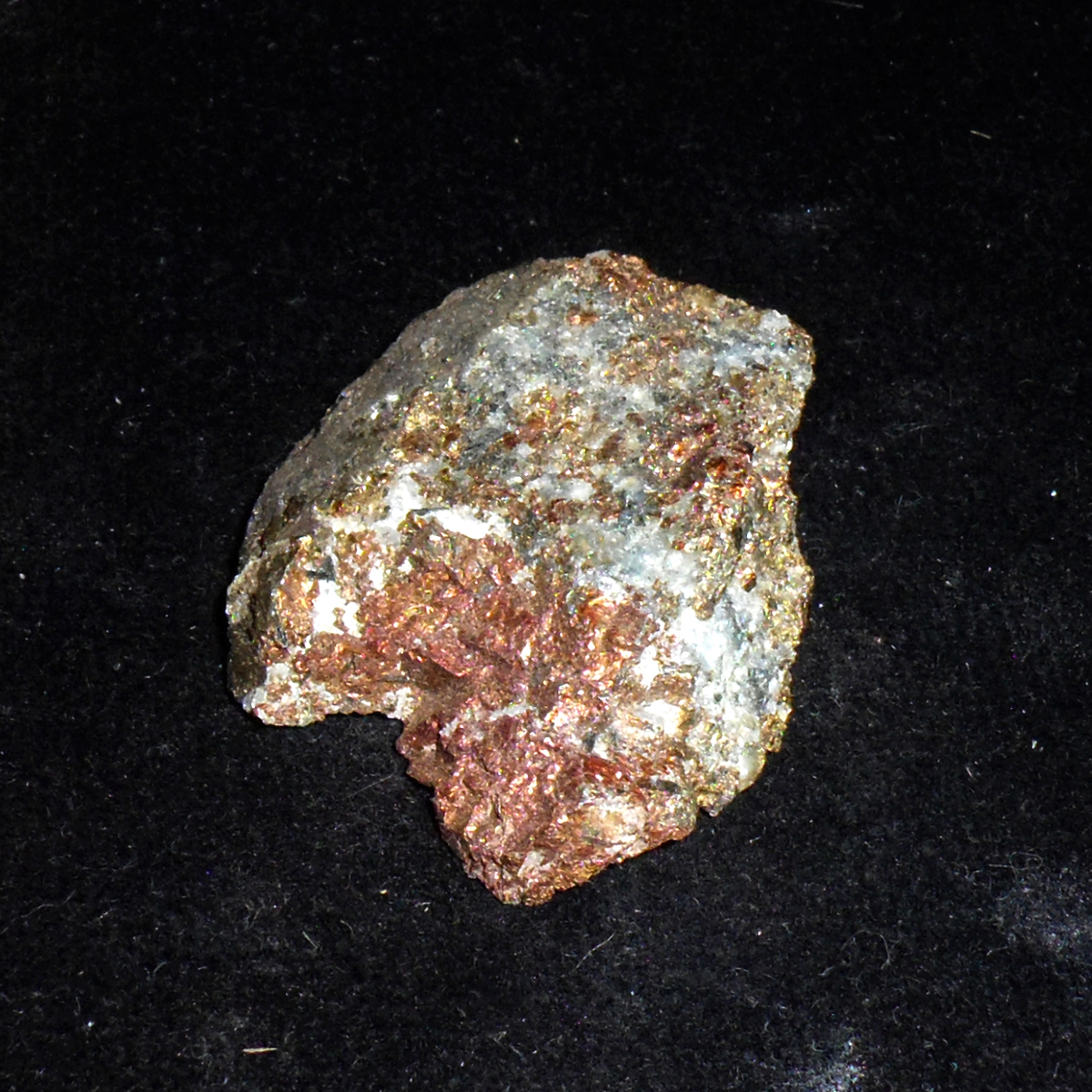 Chalcopyrite-Marmora-MPB-B002.JPG