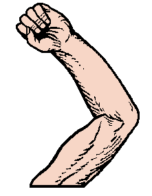 Arm006.gif