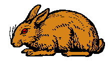 Hare002.gif