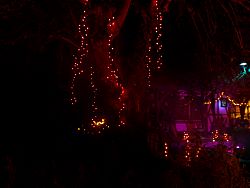 Hal_2016_018.JPG